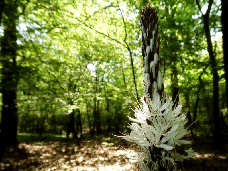 Parco del Ticino 26.4.13